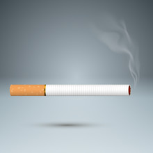Harmful Cigarette, Viper, Smoke, Business Infographics.