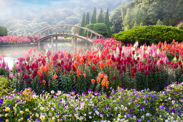 Wall Mural - garden flowers on the mountain in thailand