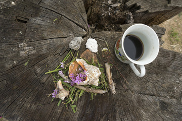 Cup of coffee, seashell and small flowers on a trunk of dried wood, photographed in Gura Portitei, Romania