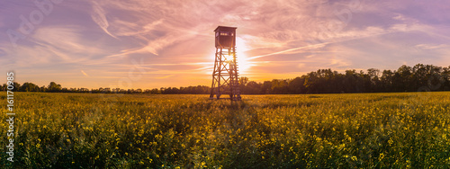 Fotomural Jagd Jäger Hochsitz im Morgenlicht, Panorama, Rapsfeld Landleben Weidwerk Forstw