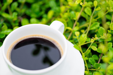 White cup of hot coffee on the plant green nature background. shallow focus.