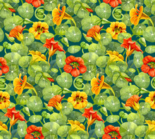 Seamless Pattern With Nasturtium Flowers And Leaves Painted With Watercolor