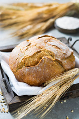 Freshly baked traditional wheat bread and wheat ears