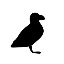 Isolated Puffin Silhouette On White Background