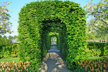 Sticker - Beautiful floral archway in park on sunny day