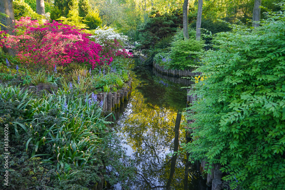 Beautiful landscape with lake and flowers