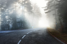 Asphalt Road (highway) Through The Evergreen Pine Forest In A White Fog. French Alsace, France. Atmospheric Autumn Landscape. Travel Destinations, Vacations, Freedom, Ecotourism, Pure Nature