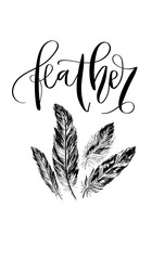 Wall Mural - 'Feather' - hand drawn lettering in modern calligraphy style. Boho art print with decorative feathers.