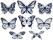 Collection Of Silhouettes Of Butterflies. Butterfly Icons. Vector Illustration.