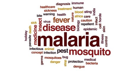 Wall Mural - Malaria animated word cloud, text design animation.