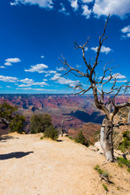 View Of Grand Canyon - South Rim