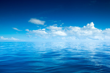 Wall Mural - sea