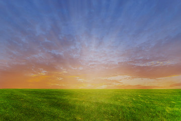 green meadow with sun ray