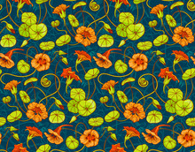 Seamless Vector Pattern With Red And Yellow Nasturtium Flowers And Leaves On Dark Blue Background