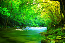 Fast Mountain River Flowing Among Mossy Stones And Boulders In Green Forest. Carpathians,