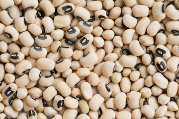 Black eye pea or white bean background