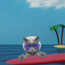 Cute Cat Surfing On A Surfboard At The Ocean Near The Beach