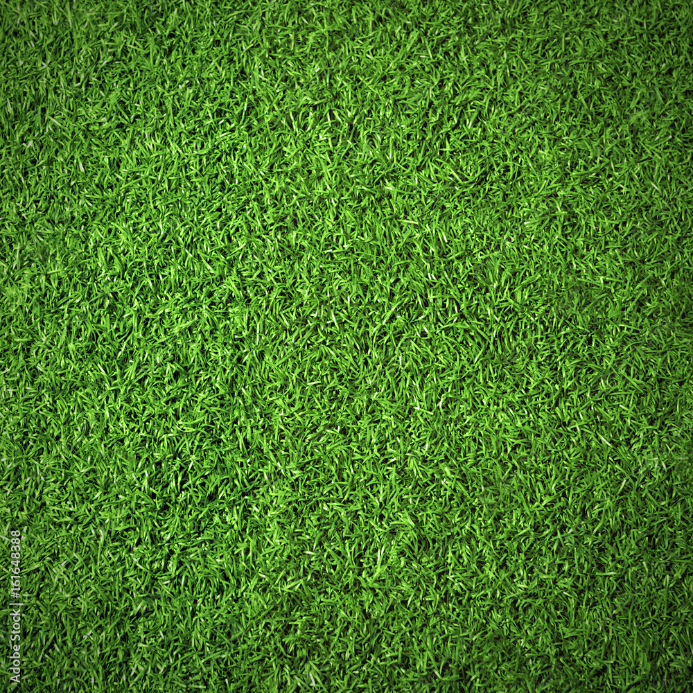 Nature background of green textured grass for abstraction - obrazy, fototapety, plakaty 