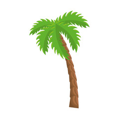 Poster - isolated beach palm icon vector graphic illustration