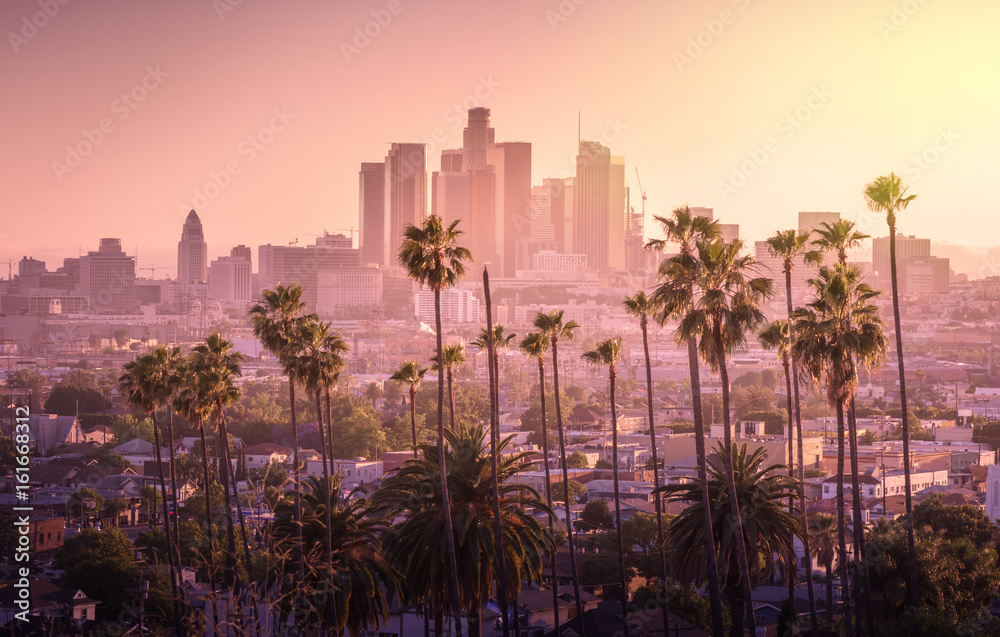Beautiful sunset of Los Angeles downtown skyline and palm trees in foreground - obrazy, fototapety, plakaty 