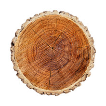 Large Circular Piece Of Wood Cross Section With Tree Ring Texture Pattern And Cracks Isolated On White Background.