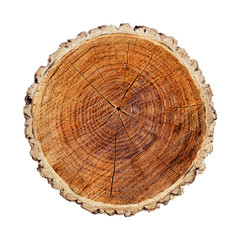 Wall Mural - large circular piece of wood cross section with tree ring texture pattern and cracks isolated on whi