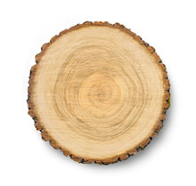 Smooth Cross Section Of Brown Tree Stump Slice. Annual Rings On Large Piece Of Wood Cut Fresh From The Forest With Cracks And Grain Isolated On White.