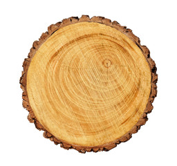 Wall Mural - large circular piece of wood cross section with tree ring texture pattern and cracks isolated on whi
