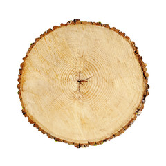 Wall Mural - smooth cross section of brown tree stump slice. annual rings on large piece of wood cut fresh from t