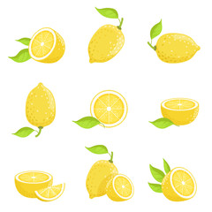 Poster - Lemon with slices. Fresh yellow fruit in cartoon style. Vector picture isolate on white