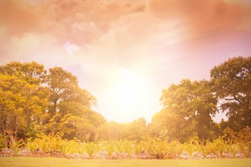 Poster - composite image of scenic view of brown storm cloud