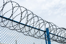 Protection Fence With Sharp Barbed Wire In Outdoor With Blue Sky Background. Independence Or Freedom Picture Concept.