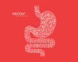 Abstract vector illustration of human stomach.