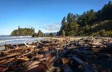 Ruby Beach In Olympic National Park