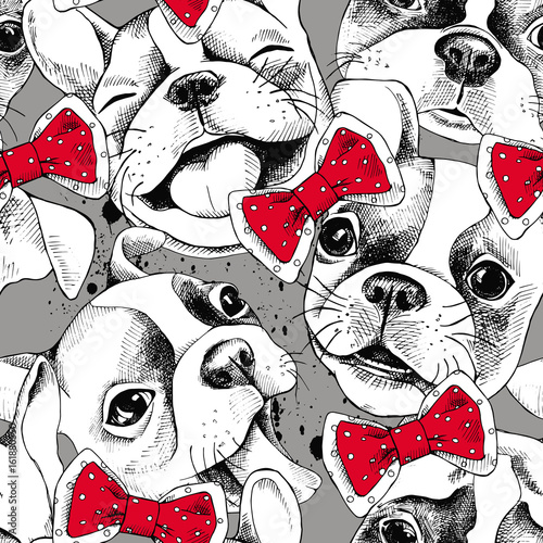Fényképezés Seamless pattern depicting portraits of French Bulldog and tie