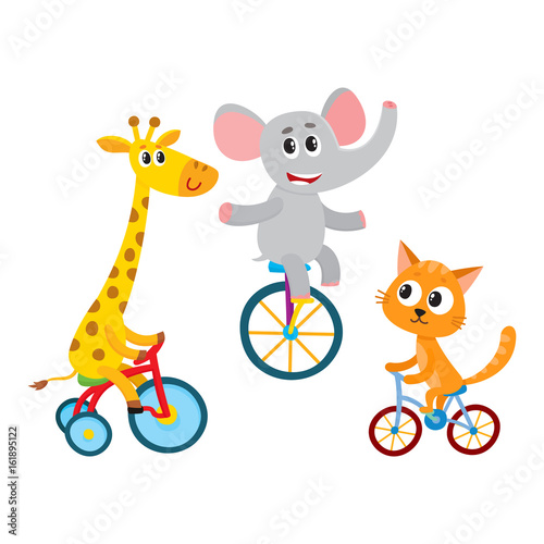 unicycle tricycle