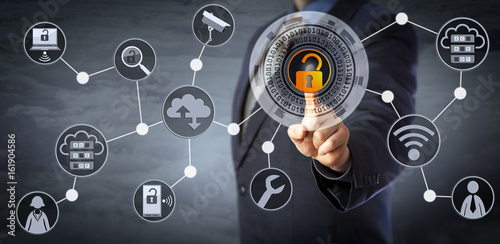 Cuadros en Lienzo Blue Chip Manager Unlocking Access Control