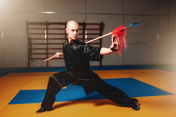 Wushu master training with spear, martial arts