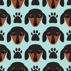 Little dachshund puppy head seamless pattern dog young pedigreed animal breed vector illustration