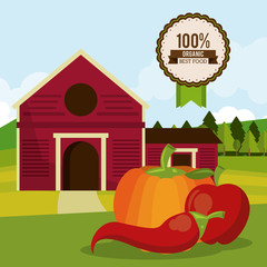 Poster - colorful poster of organic best food with farm landscape with chilli and pumpkin and apple vector illustration