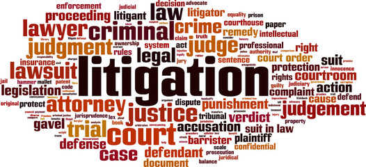 Litigation word cloud