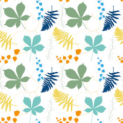 Poster - Vector floral pattern with  chestnut tree , ivy and fern leaves outlines.