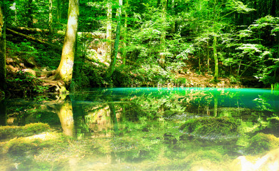 Canvas Print - Mystic mountain river