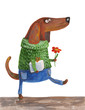 Dog in sweater and jeans with gift and flower. Watercolor illustration. Hand drawing