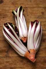 Radicchio Rosso di Treviso Cucina italiana Italian cuisine Cichorium 義大利飲食 intybus Chicory Gemeine Wegwarte Цикорий Comida обыкновенный Gastronomía de Italia Итальянская кухня イタリア料理 Küche