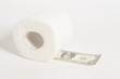 Toilet paper roll of money one hundred dollar isolated on white