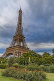 Fototapeta  - The Eiffel Tower in Paris, France