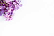 Purple Flowers On White Marble Background With Room For Text