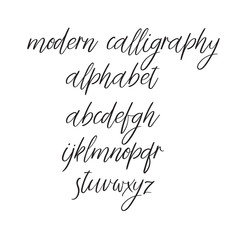 Wall Mural - Vector Calligraphy Alphabet. Handwritten font isolated on white background.