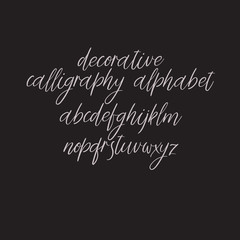 Wall Mural - Exclusive Custom Alphabet. Handwritten font. Modern calligraphy. Vector ABC.